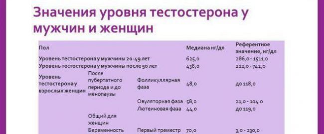 Тестостерон и мужской организм