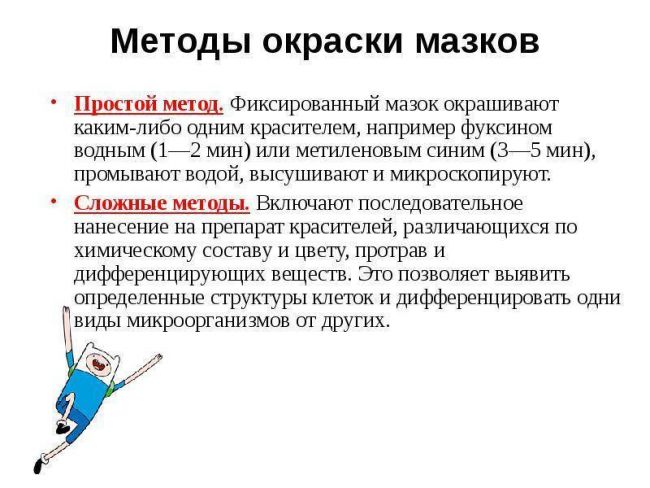 Методы окраски бактерий