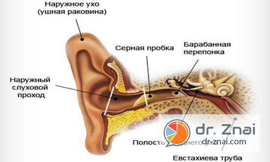 Серная пробка в ухе: как удалить в домашних условиях самостоятельно, симптомы, как вытащить, капли, лекарство от ушных пробок