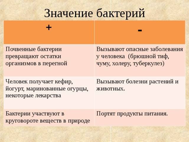 § 12. роль бактерий в природе и жизни человека