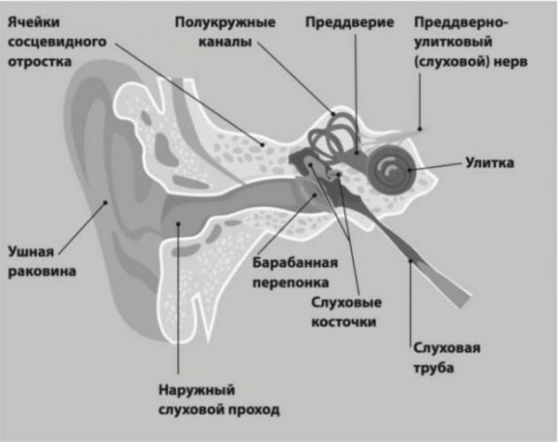 Антибиотики при отите у детей в таблетках, капли в уши, уколы. можно ли вылечить отит без антибиотиков ребенку?