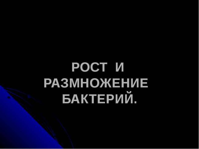 Какими способами могут размножаться бактерии и грибы
