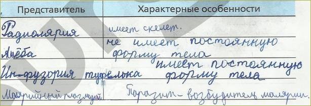 Бактерии — общая характеристика. классификация, строение, питание и роль бактерий в природе