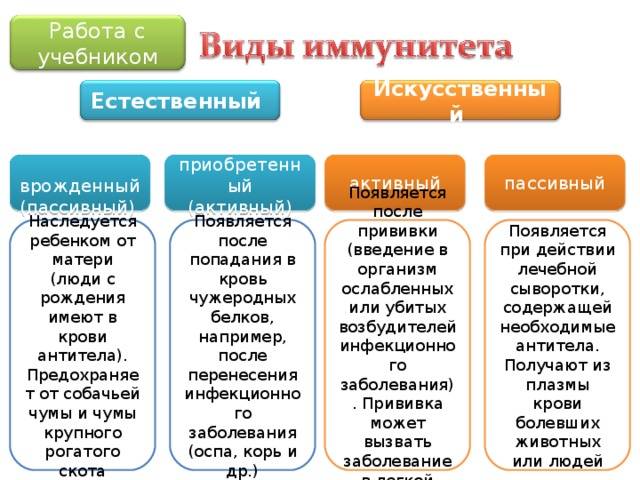 Чем активный искусственный иммунитет отличается от пассивного