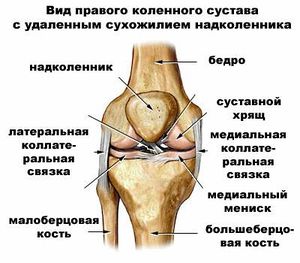Восстановление и реабилитация связок коленного сустава после травмы | все о суставах и связках