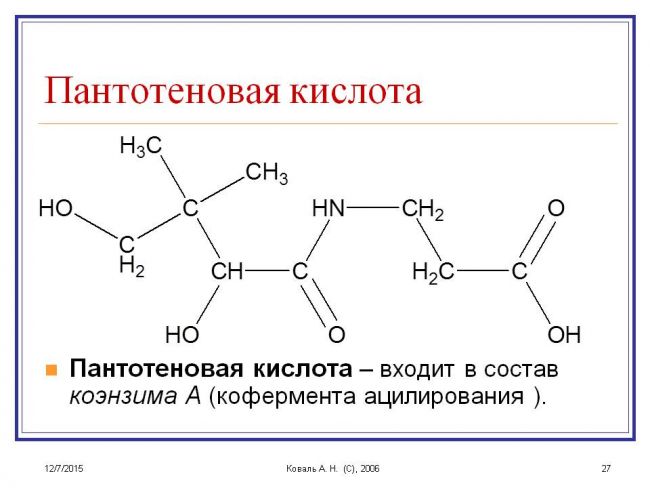 Кальция пантотенат – инструкция по применению, аналоги, цена, отзывы