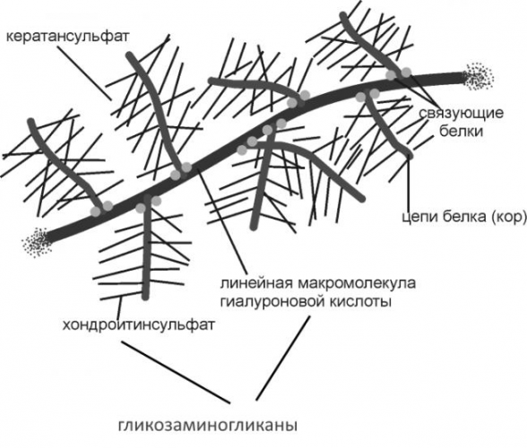 Диета при остеоартрозе коленного сустава