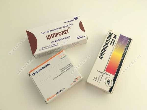 Escherichia coli 10/6 в моче - запись пользователя summer (id2122363) в сообществе благополучная беременность в категории анализы - babyblog.ru