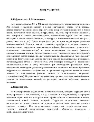 Нефросклероз почек: что это такое, исход заболевания и опасность его прогрессирования