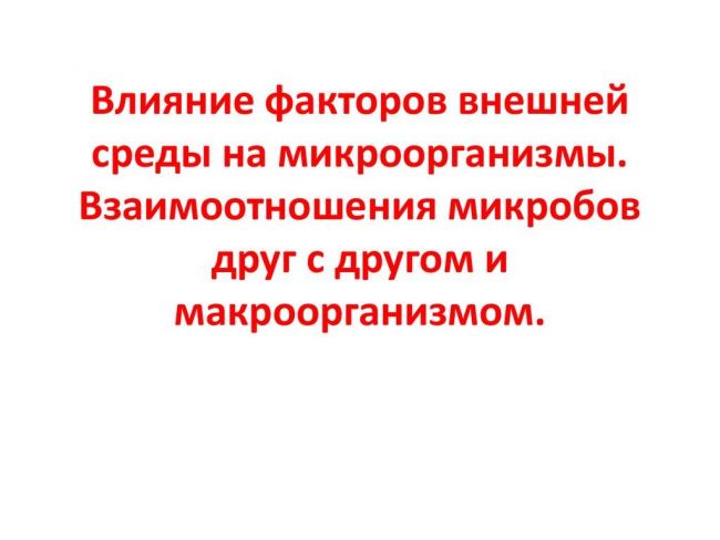 Самые лучшие продукты-пробиотики для кишечника