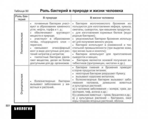 Значение бактерий в природе и жизни человека