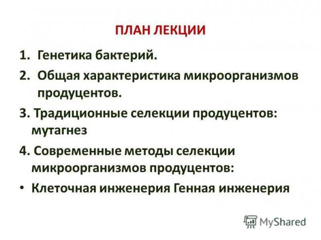 Изучаем родословную бактерий: это животные или растения?