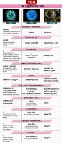 Как отличить коронавирус от простуды и гриппа? - hi-news.ru