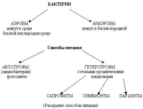 Царства живой природы
