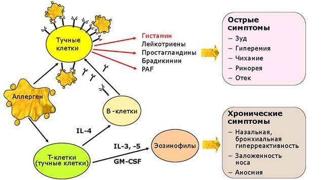 Укус насекомого отек века