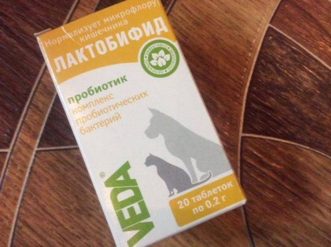 Какие пробиотики давать собаке топ 5 популярных препаратов