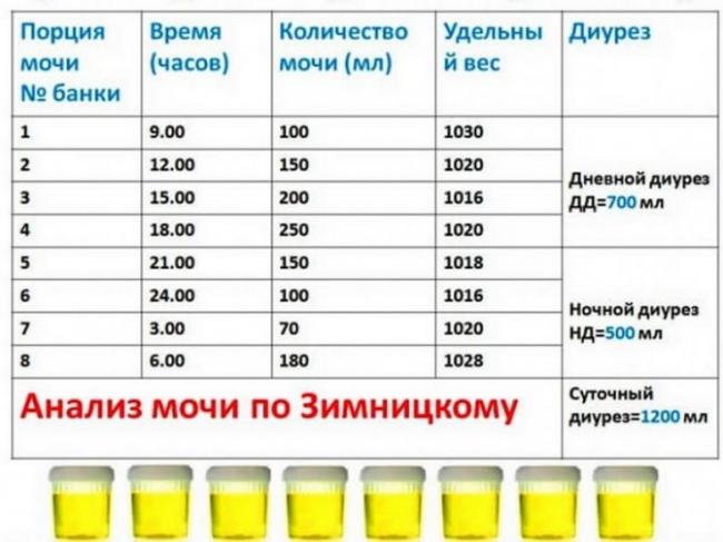 Суточный диурез — норма, причины отклонений, нормализация