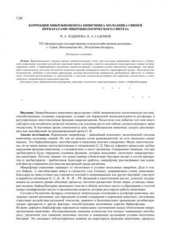Список лучших пробиотиков для кишечника: инструкция по применению