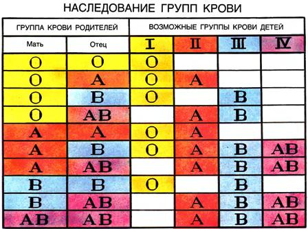 Определение резус фактора и группы крови