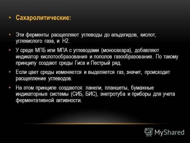 Культуральные свойства бактерий - презентация