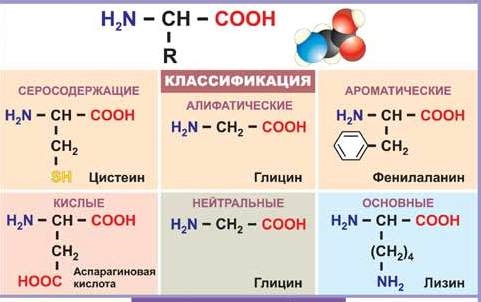 Слово цистеин - что такое цистеин? - значения слова, примеры употребления