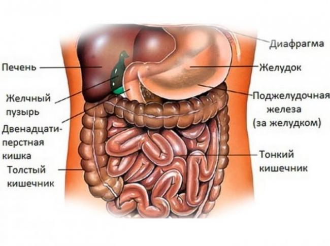 Асцит брюшной полости