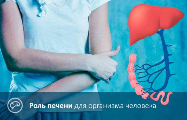 Правила заваривания овса для лечения печени
