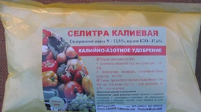 Применение калиевой селитры для сада и огорода