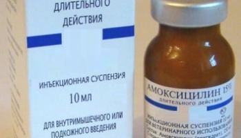 Эффективнейшее средство от простатита «простанорм» (prostanorm)