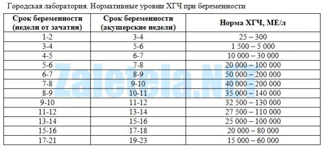 Уровень хгч при беременности