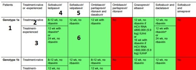 Гепатит с лечение народными средствами: помогает ли?