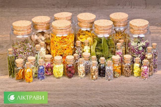 Сбор травы от бронхита