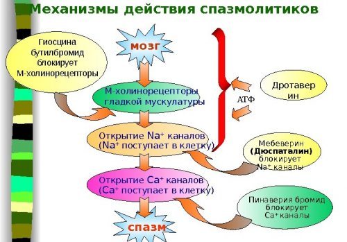 Показания по применению и инструкция к препарату но-шпалгин