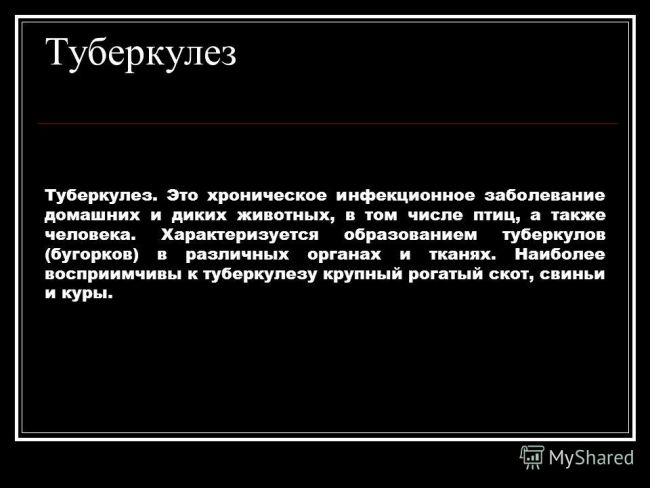 Палочка коха - возбудитель туберкулеза. фото