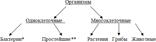 Инфузория туфелька это бактерия модная обувь вирус одноклеточный организм микроб