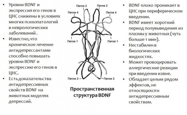 Ииссиидиологический взгляд на патофизиологию и терапию депрессии