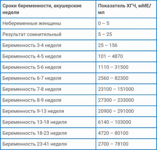 Анализ крови на хгч при беременности