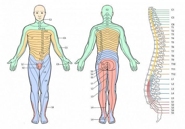 Езда на велосипеде при грыже поясничного отдела позвоночника