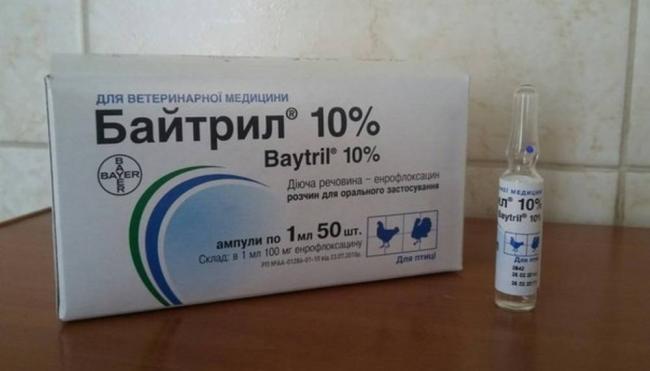 Байтрил описание препарата и схема лечения кошек