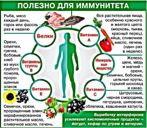 Укрепление иммунитета у взрослых. иммуностимулирующие препараты, народные средства, витамины