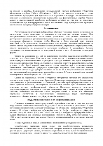 Возбудитель туберкулеза - пути заражения и живучесть бактерии, профилактика и методы терапии