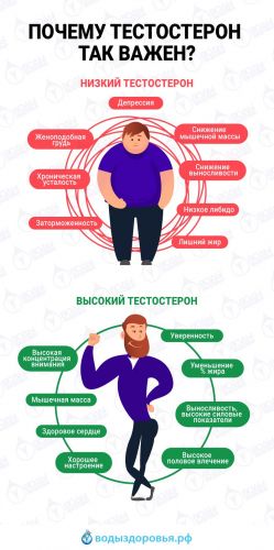 Тестостерон