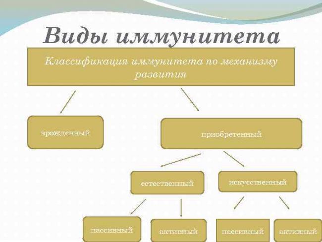 Чем активный искусственный иммунитет отличается от пассивного