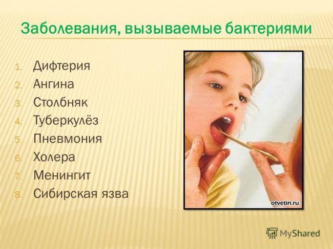 Какой вред могут нанести бактерии организму человека