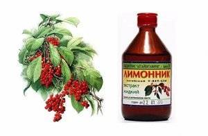 Какие имеет лимонник китайский лечебные свойства и противопоказания