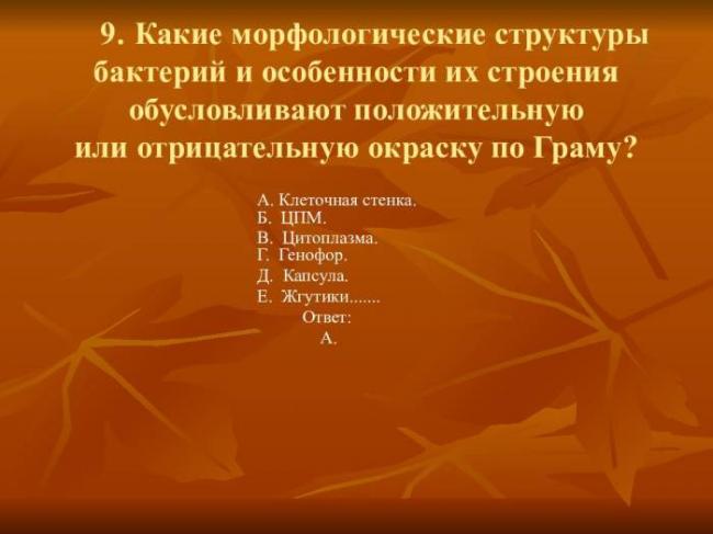 Бактерии. строение бактериальной клетки. формы. фото