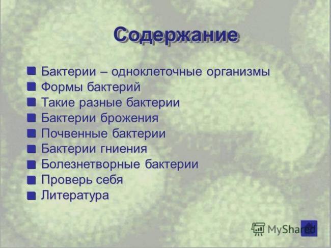 Доклад на тему болезнетворные бактерии сообщение 5, 6, 7 класс