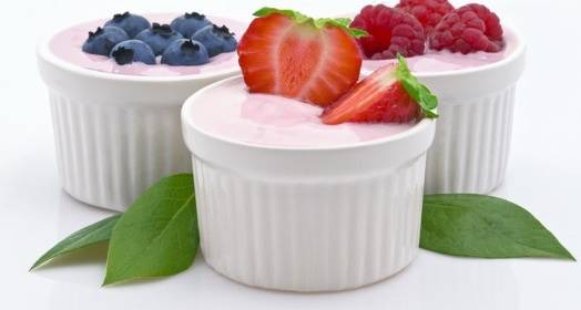 Роль бактерий в изготовлении кисломолочных продуктов