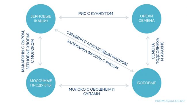 Питание спортсмена-вегетарианца: рекомендации | food and health