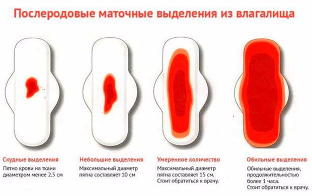 Выделения после родов: сколько идут, как выглядят в норме и при осложнениях / mama66.ru